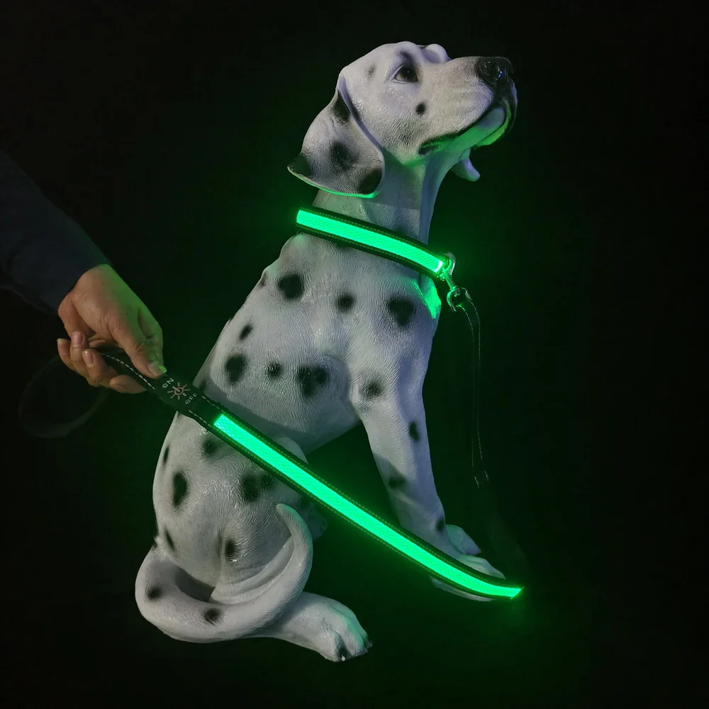 

Wholesale LED dog leash luxury Nylon Pet Led Dog Leash With For Medium Large Dogs