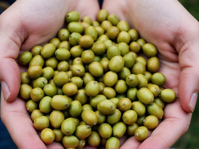 Capers vs Peppercorns: Clearing the Culinary Confusion