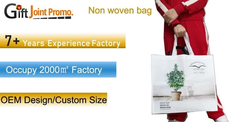non woven bag.jpg