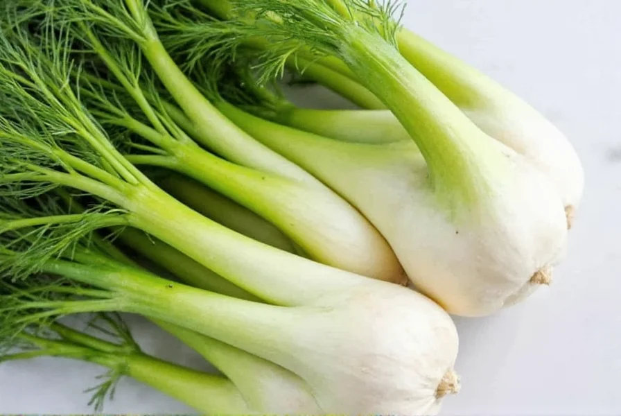 Best Fennel Substitutes: Practical Cooking Alternatives