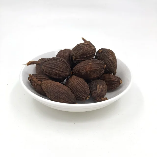 干燥的天然砂仁草果cao郭