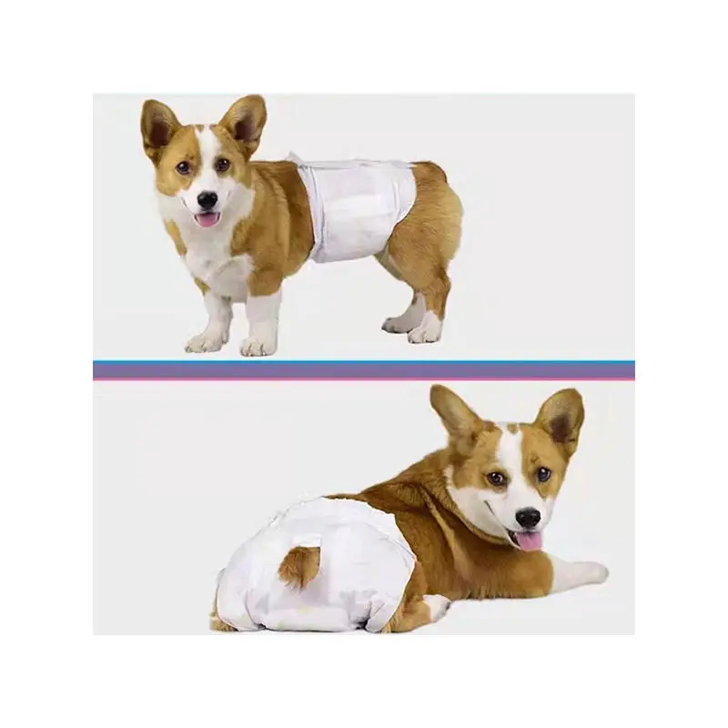 

Manufacturer wholesale multi-design Soft and Comfortable Disposable High Absorbent Physiological All seasons Puppies Pet Diaper