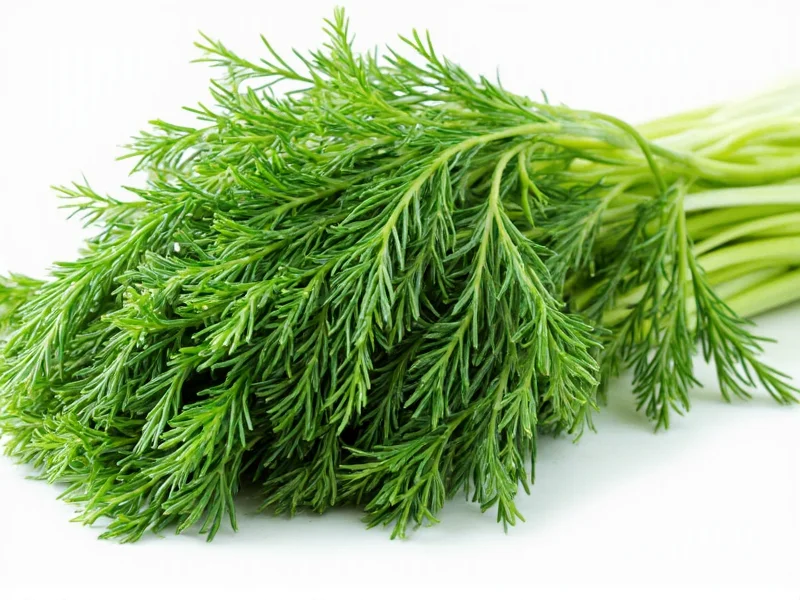 Best Substitutes for Fresh Dill in Cooking