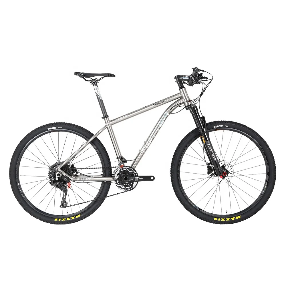 

TWITTER 2022 New WERNER M6100 29er Titanium Alloy mountain bike bicycle thru axle disc brake mtb bike bicycle 12 speed