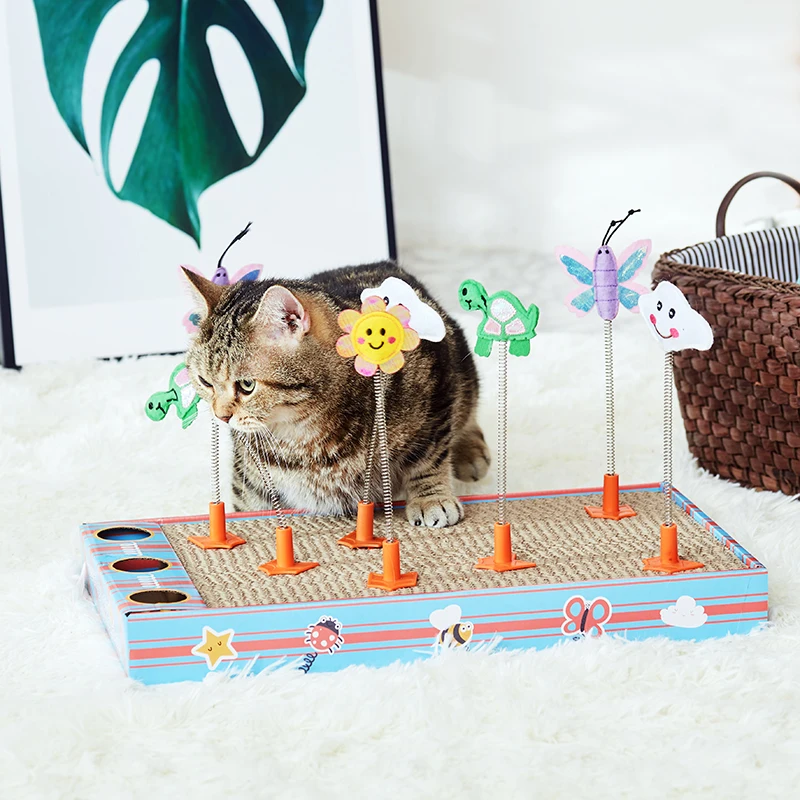 

Interactive Cat Scratch Board Cat Toy Set Scratch Best Cat Scratch Boards