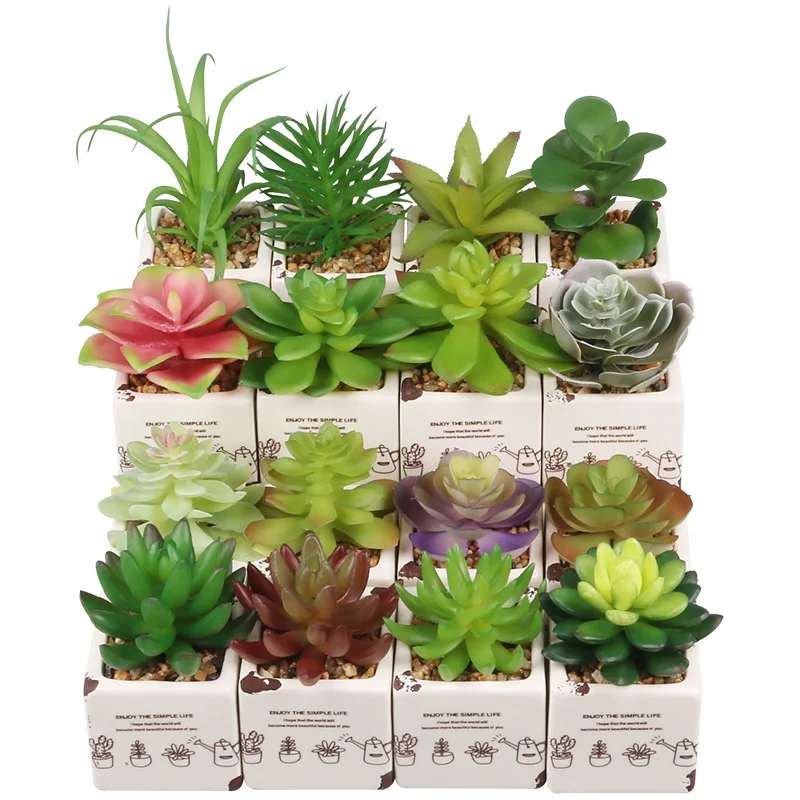

Wholesale Cute Plantas-Artificial Maceta Suculenta Plastico Mini Succulent Artificial Plant With Pot Artificial Plants And Trees, Customizable