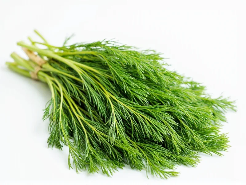 Best Fresh Dill Substitutes: Practical Cooking Alternatives