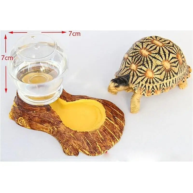 automatic tortoise feeder