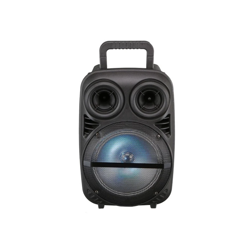 

Ready to ship portable speaker systems speaker 8inch 10W Support Blue tooth, FM radio, USB/T card