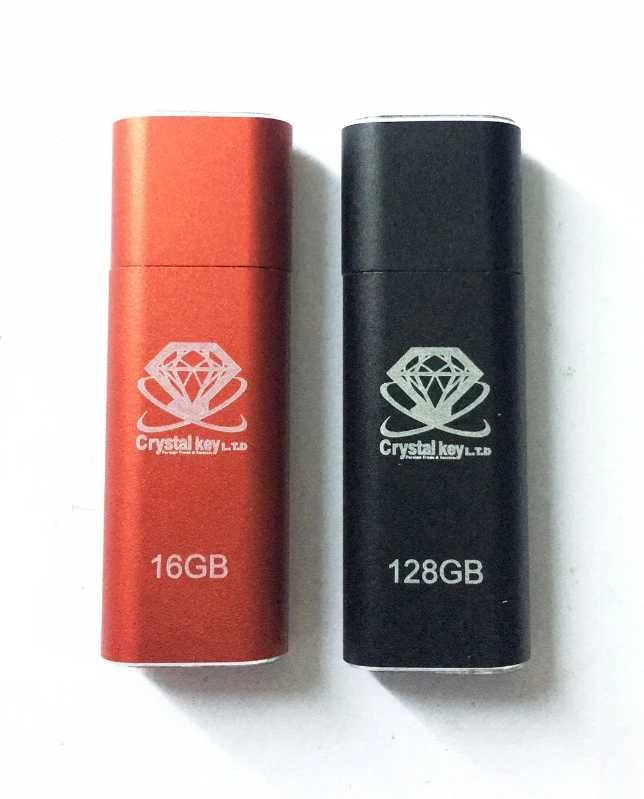 Wholesale USB 3.0 Custom Logo 16GB 32Gb 64GB 128GB Fingerprint Encryption USB Flash Drive - ANKUX.COM
