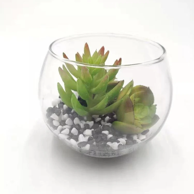 

Plant Glass Container Set Mini Succulent Home Decorative Artificial Plant, Green
