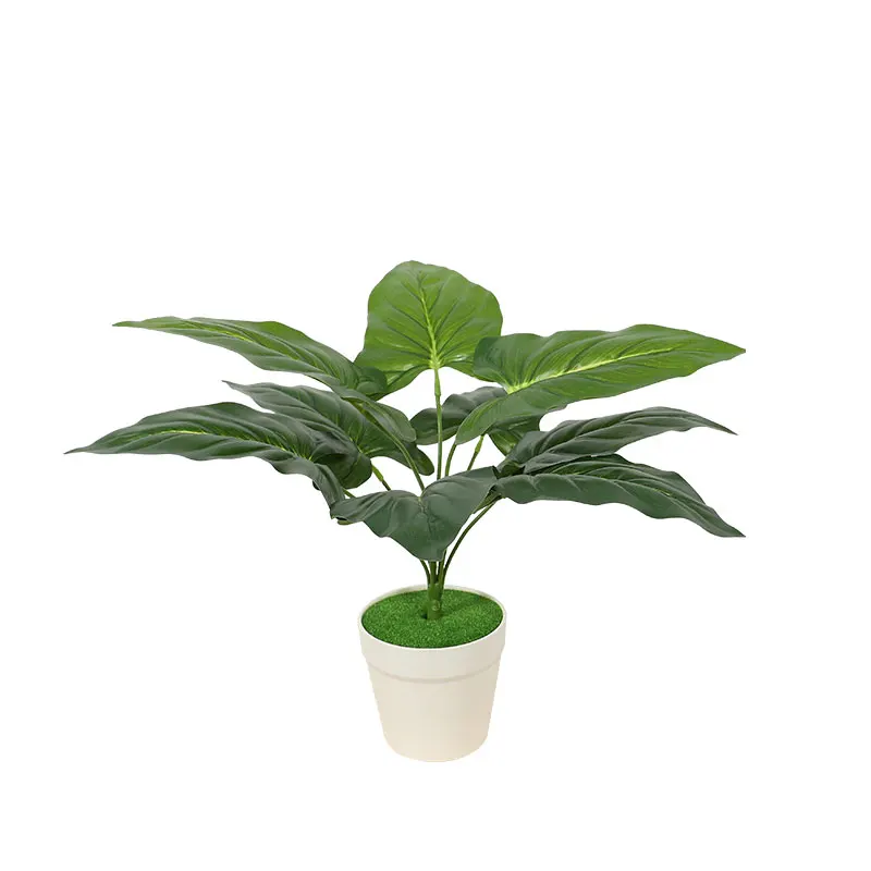 

The Manufacturer Directly Sells Mini Bonsai Plants As Artificial Plants For Outdoor And Indoor Decoration