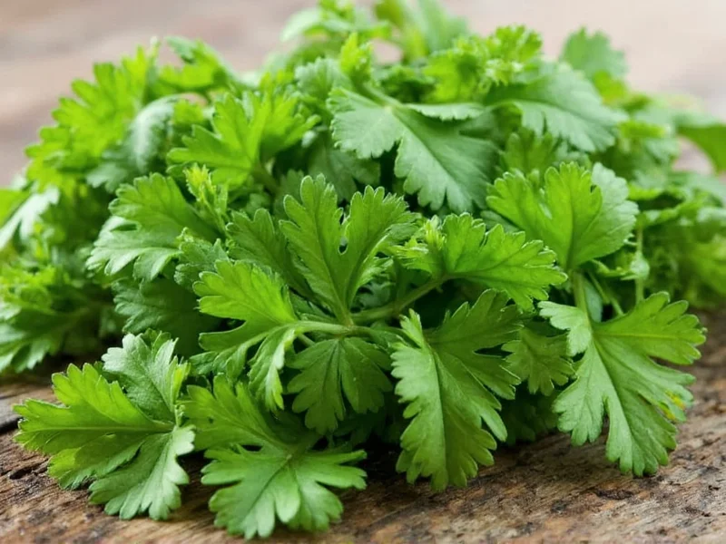 Best Parsley Substitutes: 7 Effective Alternatives for Cooking