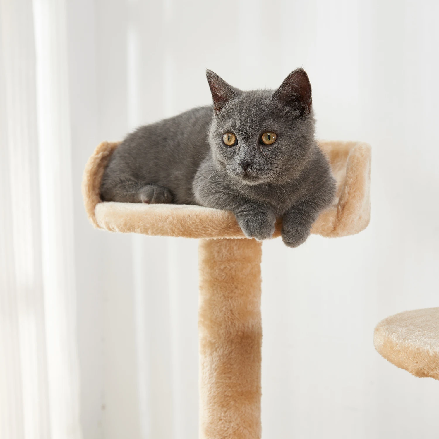 

Multi-level cat tree--have cat scratching board, Yellow