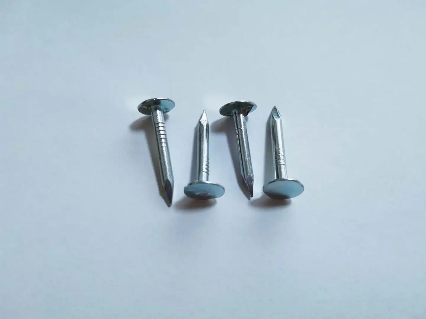 China nails factory sale large head flat clout nails,cupper nail