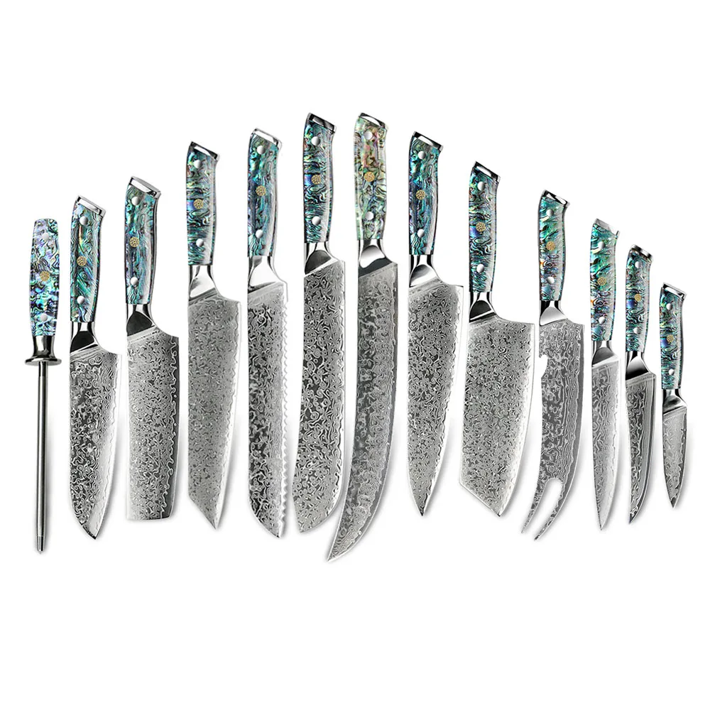 

hot sales 67layers vg10 damascus kitchen knife set with Shell with transparent Resin handle