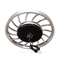 

20inch BLDC 36v 48v 1000w Front Drive hub motor For Electric Rickshaw With Inflatable Tyre