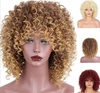 Natural Hair Line Synthetic Fiber Afro Wigs for Black Women