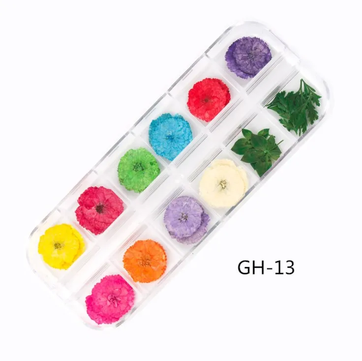 

Nail Beauty Salon DIY Design Colorful Flowers Natural Daisy Preserved Stickers Manicure Decal