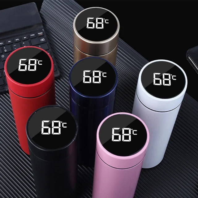 

Smart Speaker Double Wall Thermo Stainless Steel Show Temperature Water Bottle