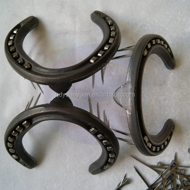 hoof horse shoe (2).jpg