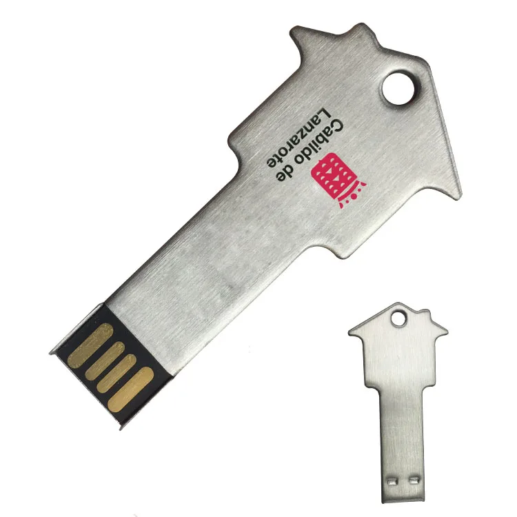 house usb key (30)