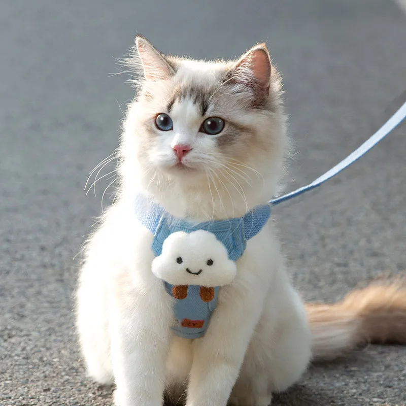 

2023 hot selling adjustable cotton pet collars&leashes cat leash chest strap leash wholesale