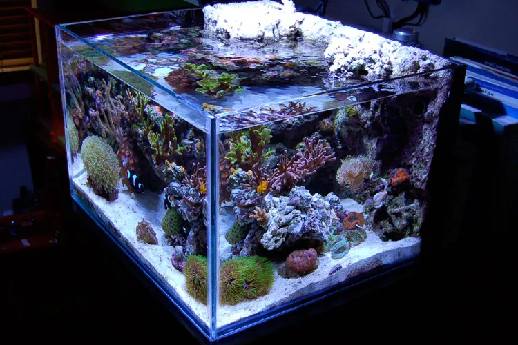 sale custom clear square acrylic glass aquarium fish tanks for