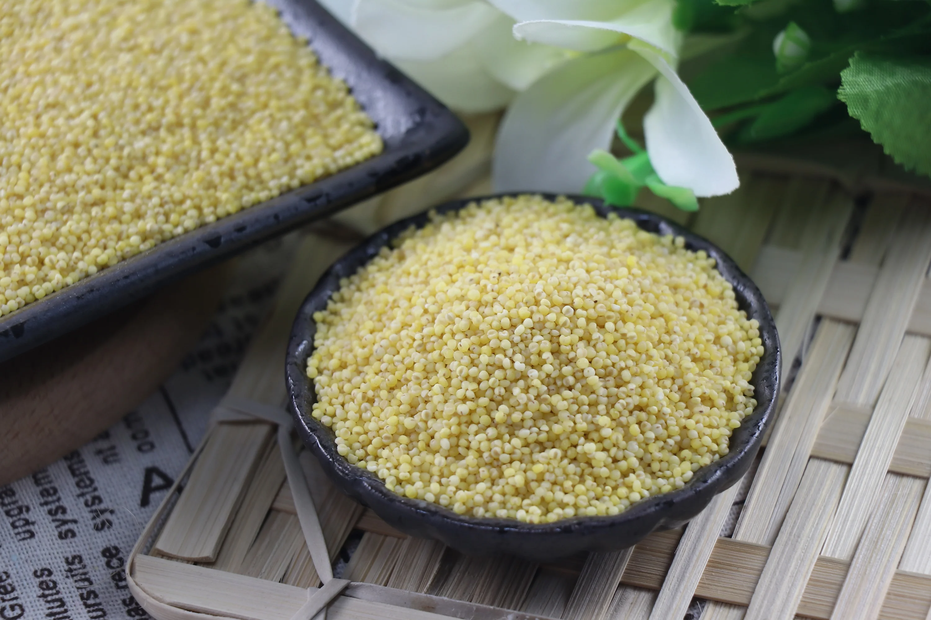 Good Quality Yellow Millet In Husk Buy Good Quality Red Millet In