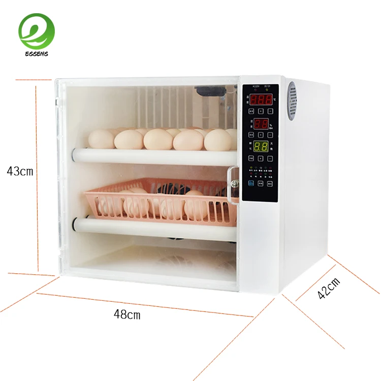 60egg incubator-29.jpg