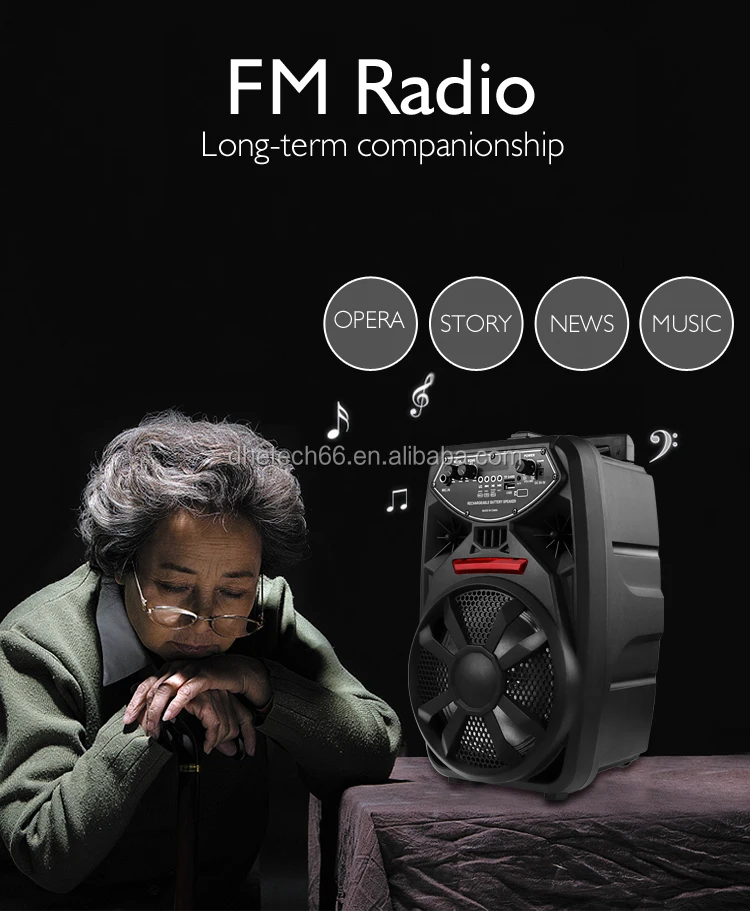 Hot Selling Karaoke Speaker With Low Price - ANKUX.COM