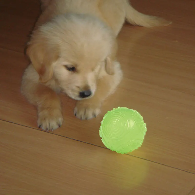 

Amazon best selling Light Up Squeaky Dog Ball Chew Toy Glow in the dark Bouncing Agility Outdoor Night Dog toy, Green