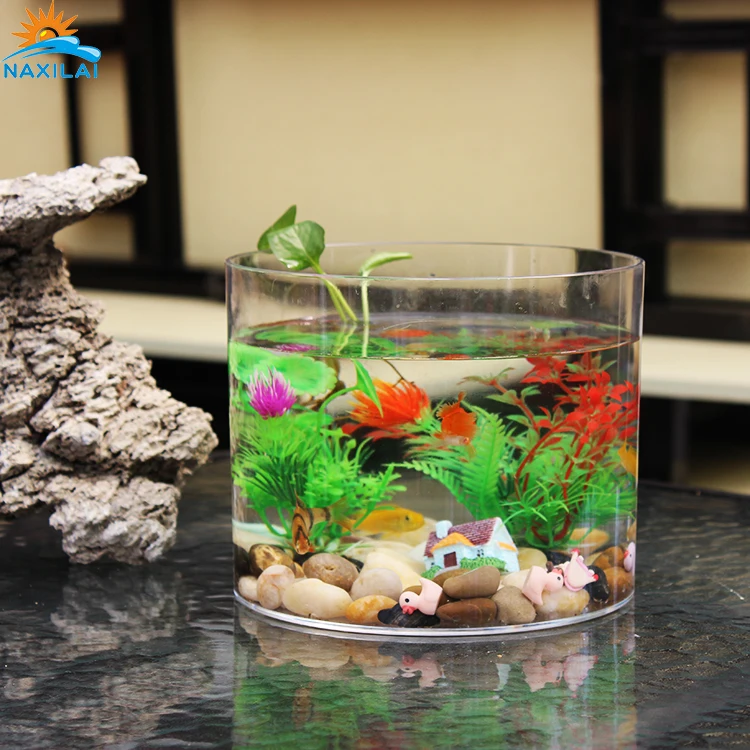 Naxiali Wholesale High Quality Acrylic Betta Fish Tank Small Fish