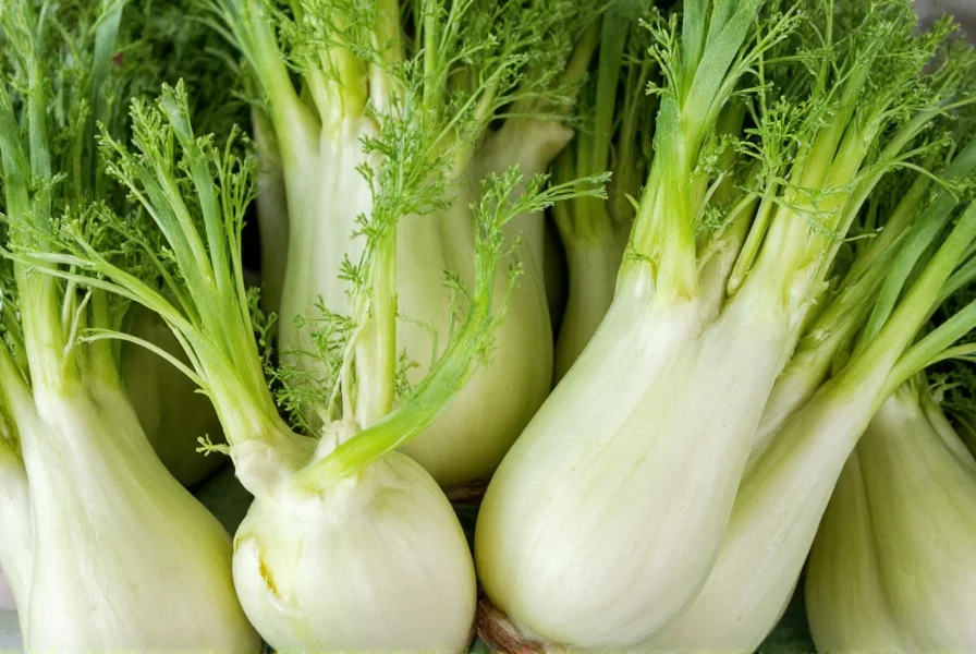 Fennel Identification Guide: Photos and Key Features