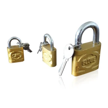 small padlock and key