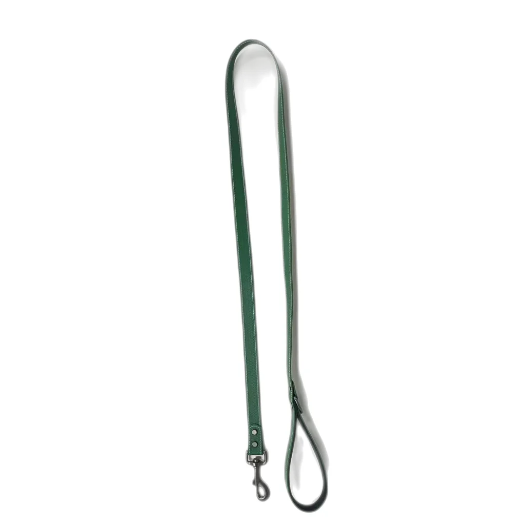 

Luxury Pet Dog Collars And Leashes Metal Aluminum Buckle, Green