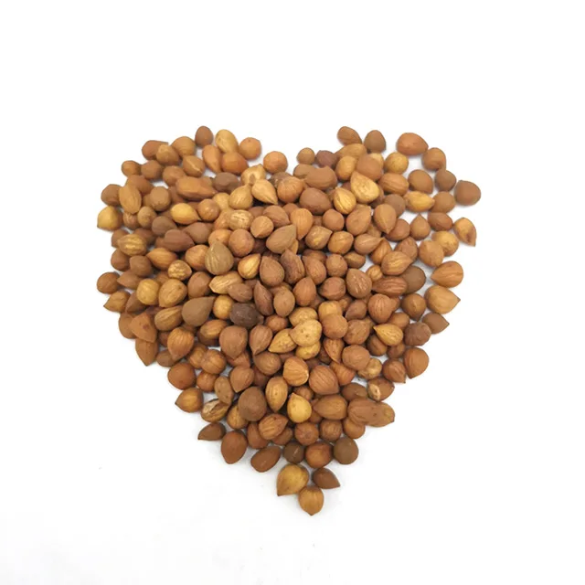 
GMP Factory supply Chinese Bushberry seed 