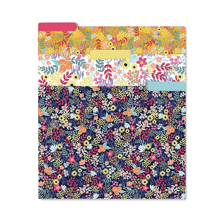 
Custom Large Decorative Paper Commercial Hanging Organizer Suspension File Folders 