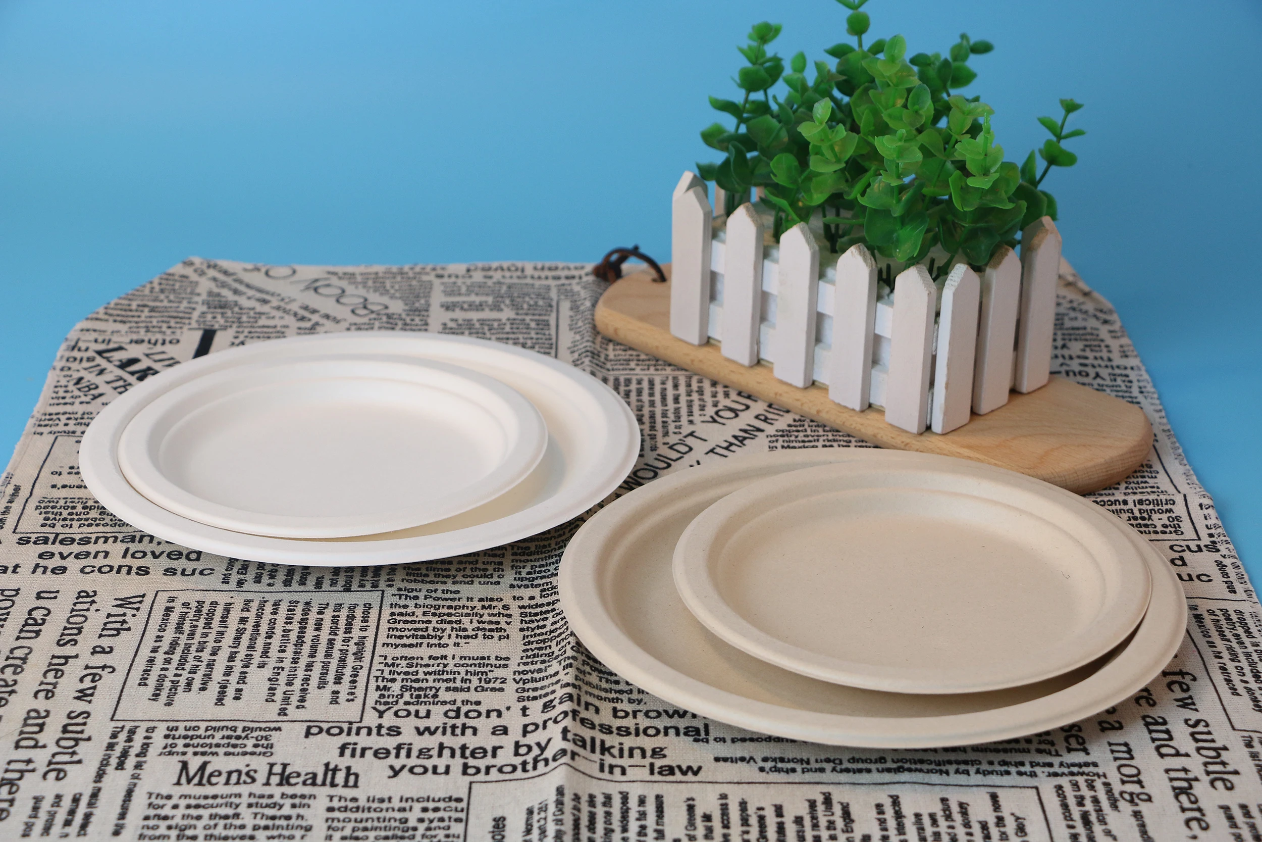 China Factory Wholesale Bamboo Plates Disposable Bagasse Tableware