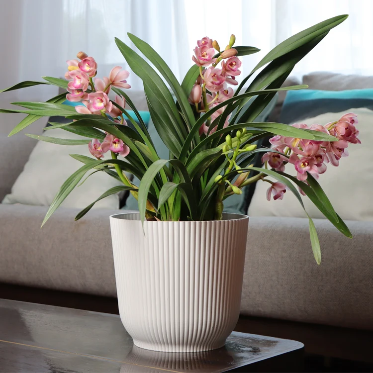 

New Design Artificial Luxury Plastic Vase Flower Pots To Custom Succulent Indoor Use Planters Home Accessories