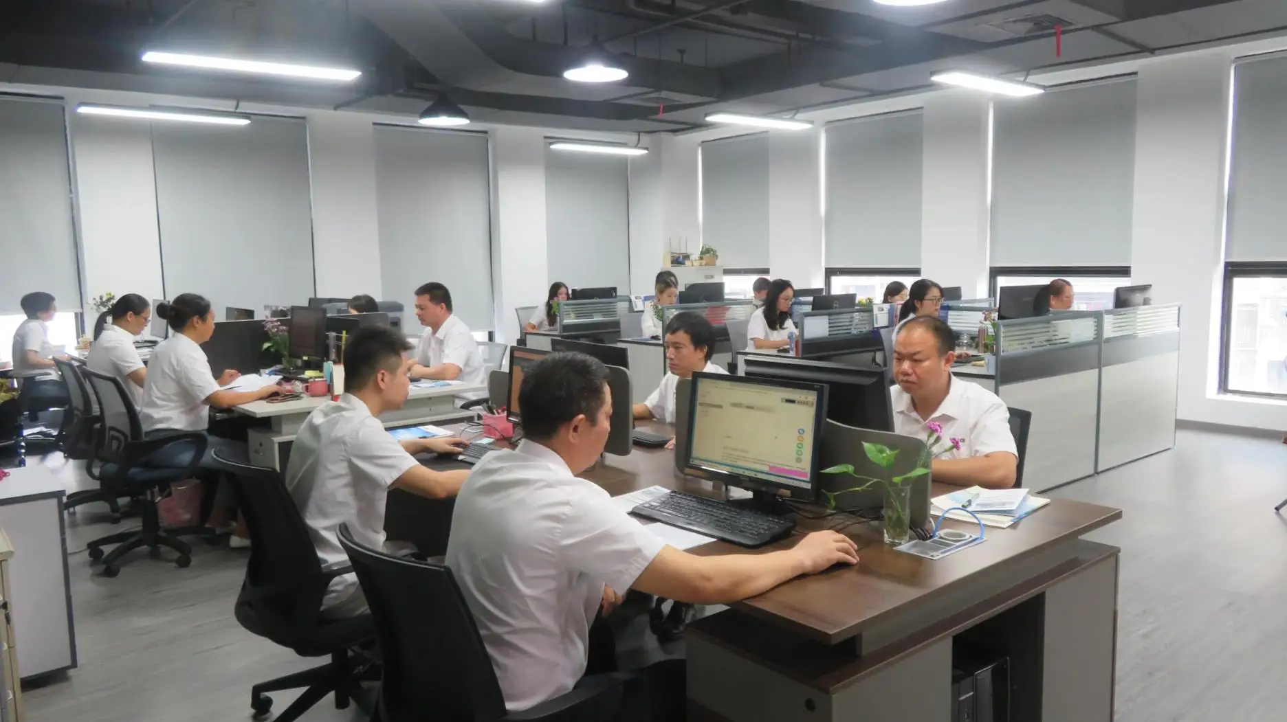 Fiber Light Source Multimode Single Mode 2.5mm Sc Buy Fiber Light Source,Light Source,Light