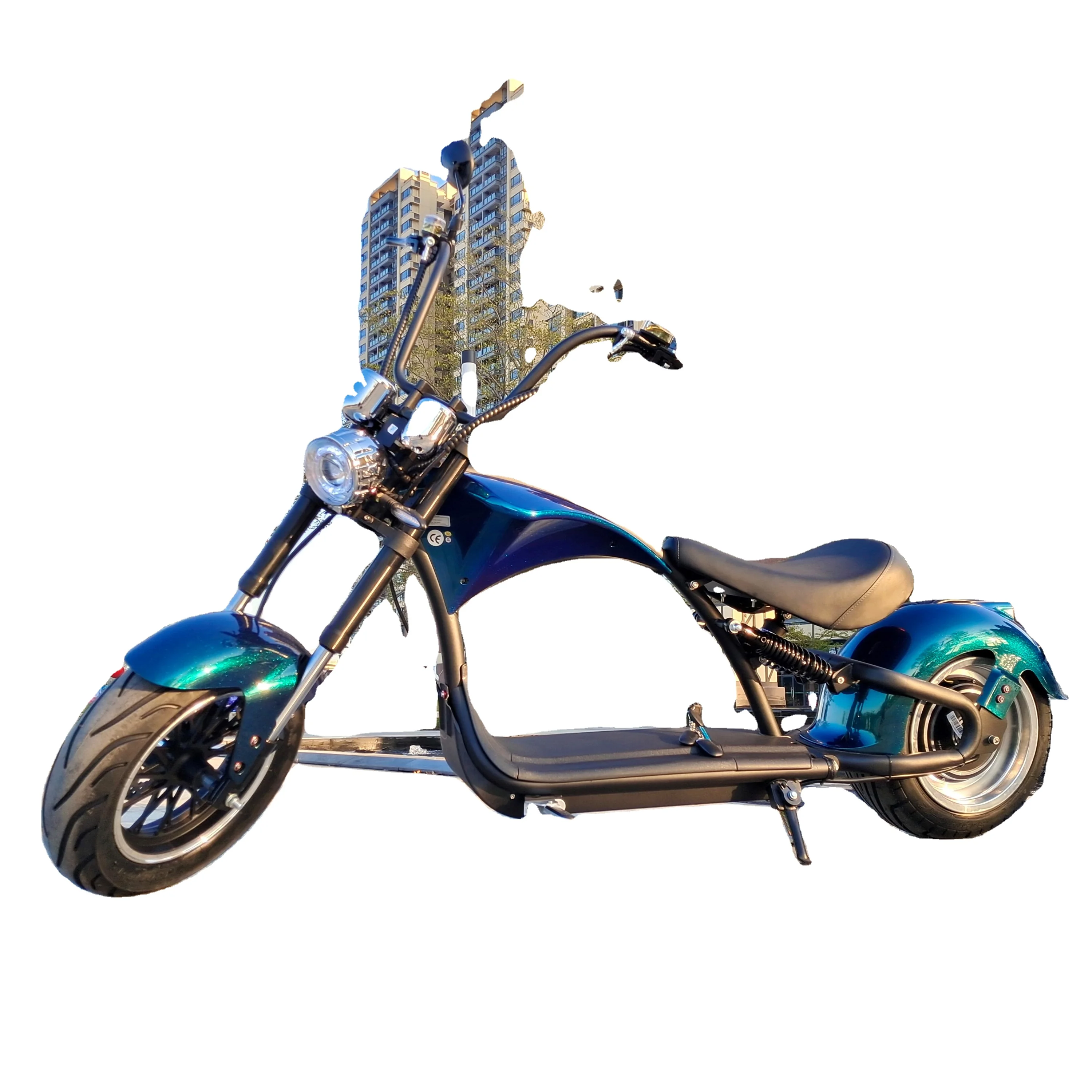 

EU Electric Scooter 30Ah Removable Battery Long Range Moped E Chopper 2000W Cycle EEC COC