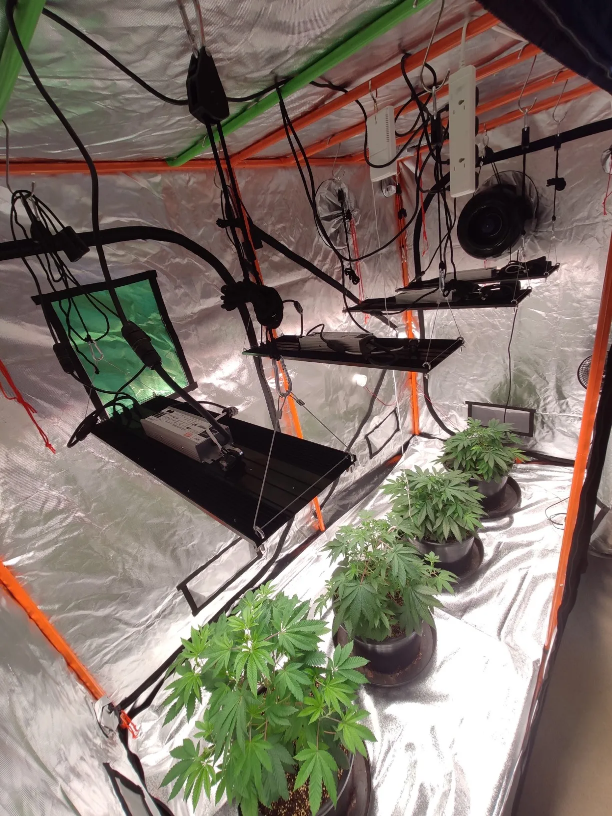 jane 240w