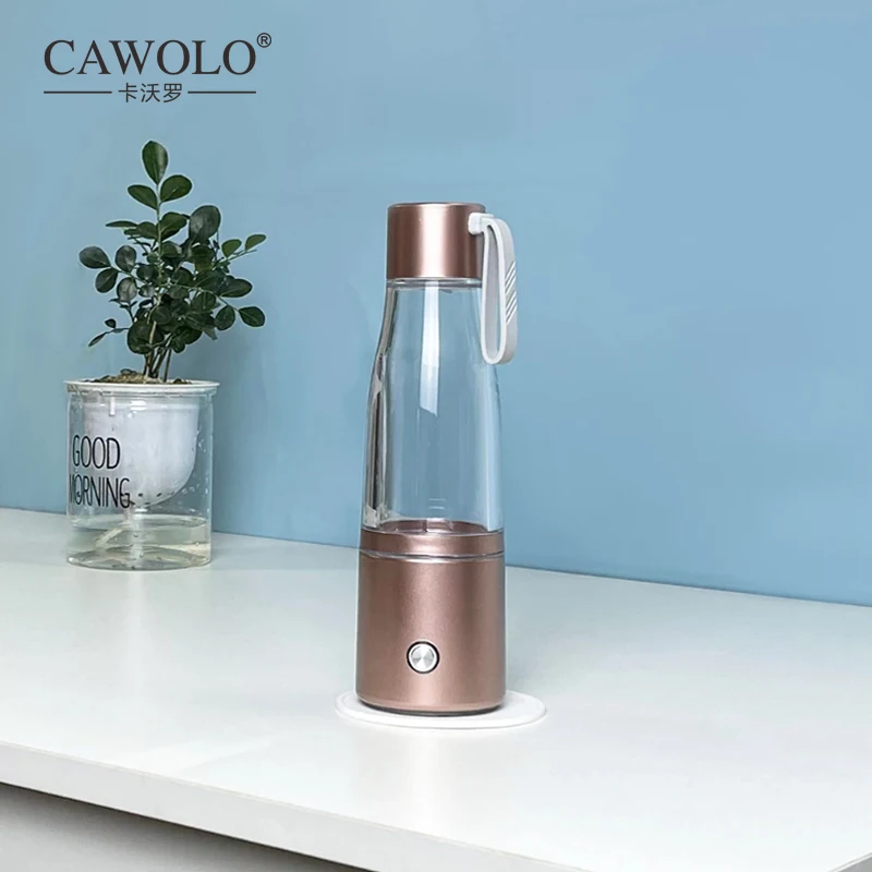 

2022 new hydrogen generator water filter ionizer pure h2 japan ion membrane made levelupway hydrogen generator water bottle