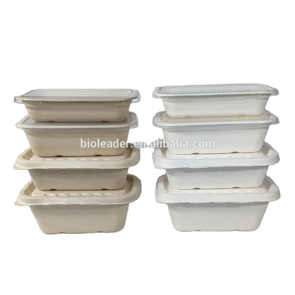 

Biodegradable Disposable Sugarcane Bamboo Food Container Tray