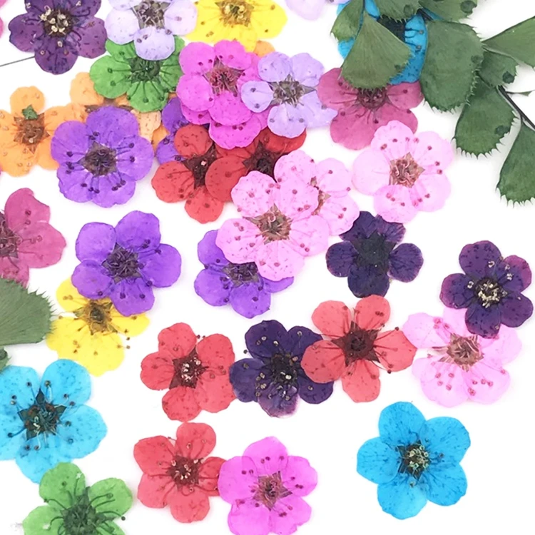 

100 pieces into a bag DIY drop glue depot flower material mobile phone case manicure embossing Nail art pressed flower