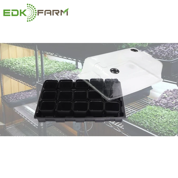 

deep flood wheatgrass plant hydroponic tulip microgreen system seedling mini indoor greenhouse grow tray, Clear+black