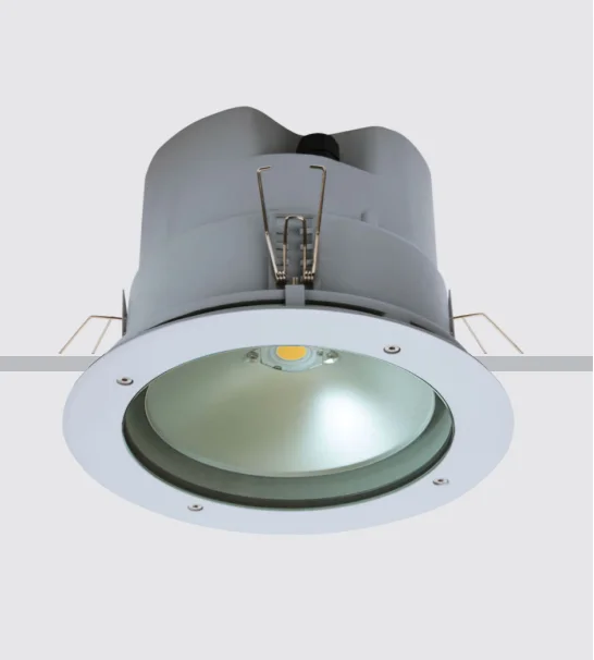 ECOJAS A1431 35-70W COB Downlight IP65 Customized Recessed Round Ceiling Light Outdoor Recessed E27 Downlight