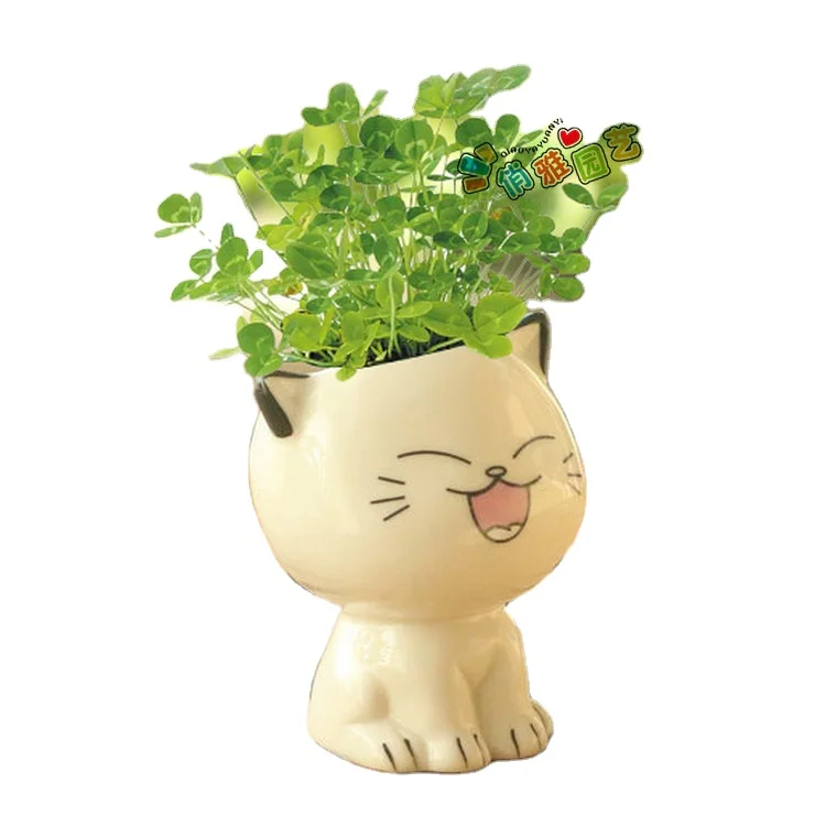 

Amazon cheap Cute polanters ceramic cartoon animal cat succulent indoor tiny pots planter porcelain flower pots