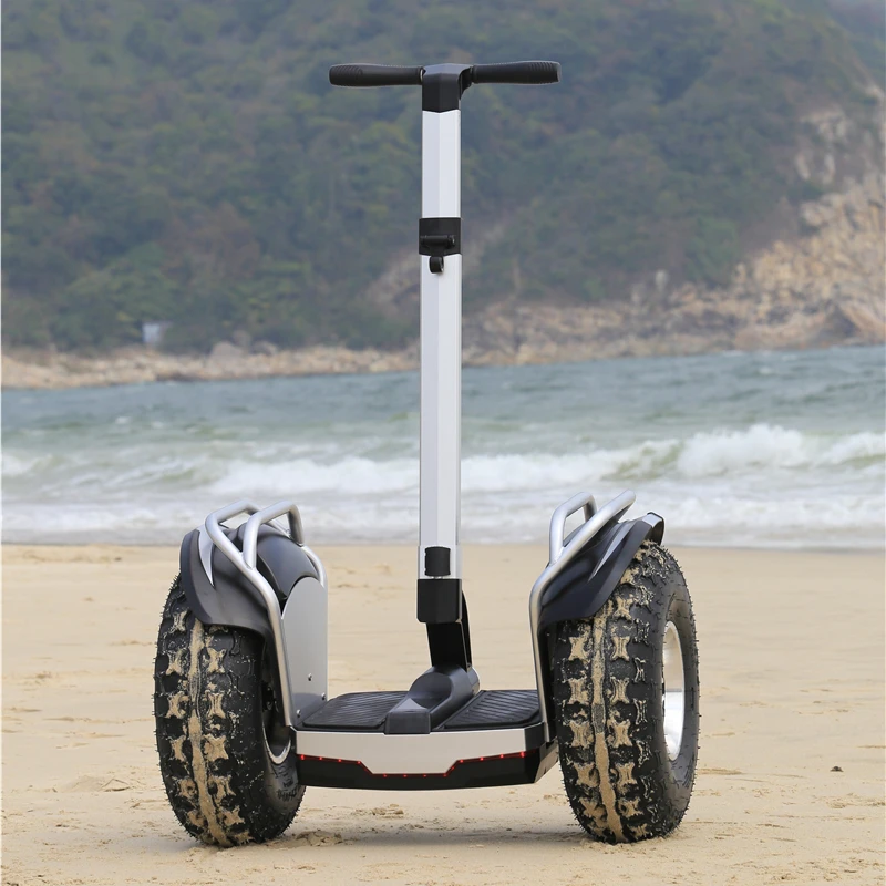 

Popular 19 Inch Fat Tire Electric Chariot Covered 60V 2000W Self Balanced Scooter